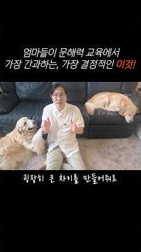 어머니들, 문해력 교육에서 이걸 간과하면 큰일나요! #문해력교육 #초등문해력 #문해력비밀