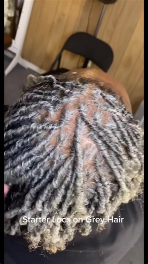 Stylish Starter Locs on Grey Hair Tutorial