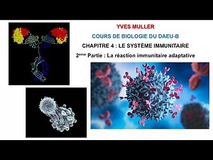 Chapitre 4 - 2ème Partie : La réaction immunitaire adaptative - Cours de Biologie du DAEU-B