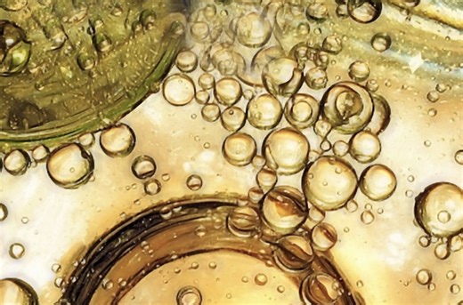 How Cells Defend Themselves From Radicals | Cell And Molecular Biology