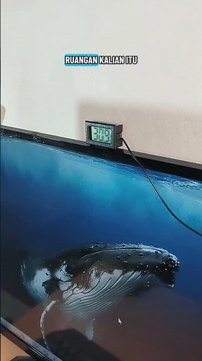 Room and Water Temperature Thermometer Hygrometer