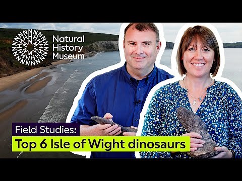 Our top six dinosaurs from the Isle of Wight | Field Studies