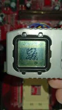 jesmon devouring the x antibody from alphamon