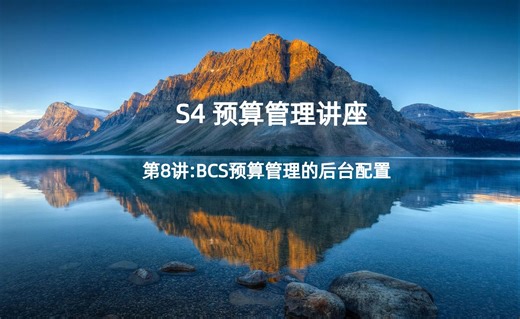 S4 FM预算管理讲座第8讲:BCS预算管理的后台配置