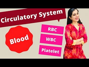 The Circulatory System - Blood Class 8 ICSE Biology | Blood - RBC, WBC, Platelets, Plasma