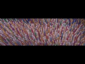 97000 Toothpicks: Amazing Japanese Toothpick Art - MULLY