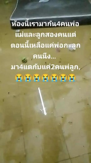 Small Green Frog Navigates Indoor Flood Waters