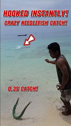 Hooked Instantly! This Needlefish STRIKES in Seconds!