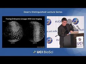 Discovering Genes that Control Development and Cause Disease: A Fish Tale