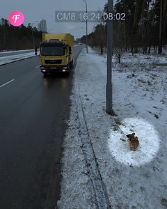 Watch a heartwarming rescue unfold as a truck driver saves a dog from the roadside, offering it a new life filled with love and safety. 🚚🐕🌟 | Fabiosa Animated