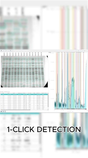 Stop using ImageJ for Western Blots 🛑 #Shorts #WesternBlot