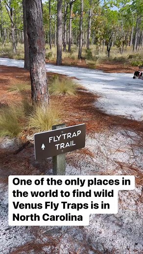 7.2K views · 292 reactions | This is the only spot in the USA where...
