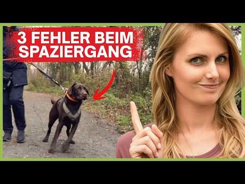 3 mistakes almost everyone makes when walking - do you too?