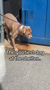 25K views · 393 reactions | Grown but not grown up? Yeah? Him too....