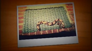 Copperhead bites woman in south Charlotte neighborhood