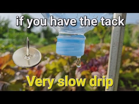 Drip irrigation system slowly 😋 plastic bottle self gravity watering for the garden plants pots