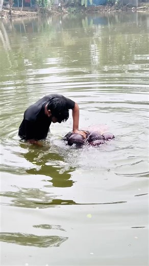 Dream 😴 #kodubahini #shorts