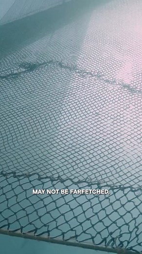 Bizarre Humanoid Fish! 🐠 | The Proof Is Out There | HISTORY