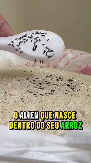986K views · 13K reactions | O Alien que Nasce Dentro do seu Arroz. #arroz #curiosidades #fatos #curioso | Insight Curioso | Facebook