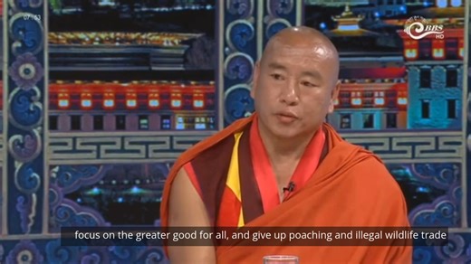 WWF-Bhutan on Instagram: "Buddhism teaches compassion and non-harm toward all sentient beings. Yet, some find it puzzling when animal parts are used in certain rites and rituals. This practice does not originate from Buddhist scriptures or sacred teachings. In fact, there is no doctrinal basis for using wildlife products in religious ceremonies. Listen to Khenpo Jigme Tshewang as he clarifies why such requirements came to be and shares how modern alternatives now make it possible to honor tradit