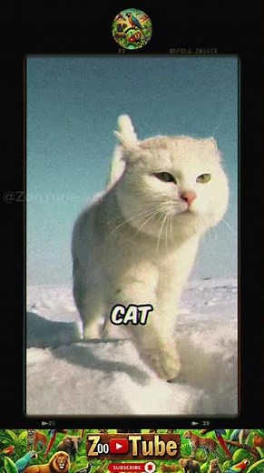 How Animals REALLY See the World 🌍 | You Won’t Believe Their Vision