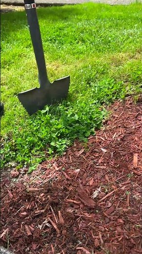 Radius Garden Root Slayer Edger Review