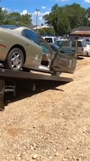 Wasp Nest In a Car?! That's What I Call Buzz-Worthy!🐝 #reels #wasp #towtrucker #towcar #towing #towtruckdriver | Towtrucker