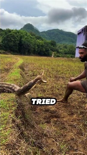 how zookeepers catch poisonous snake 🤯