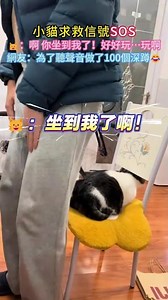 小貓求救信號🆘 🐱：啊❗你坐到我了💢啊 好好玩…玩啊❤️ 網友：為了聽聲音做了100個深蹲😂 #cat #cute #funny #cutecat #shorts