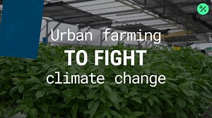 Urban Farming to Fight Climate Change