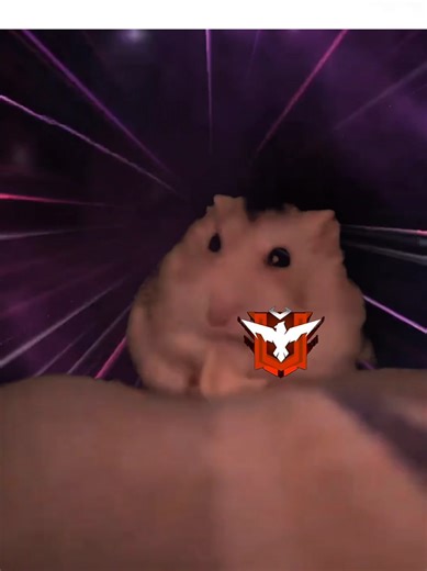 Memes de Free Fire y Jujutsu Kaisen en Acción