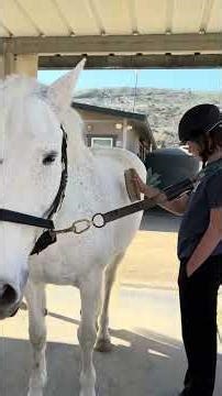 A Day in the Life: Ethan’s Adaptive Riding Lesson at The Shea Center
