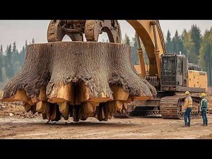 Destroying Massive Stump by Beast Shredder Machines - Largest Wood Chipper Tree Removal Excavator