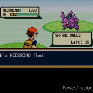 How to rob the safari zone (steps never decrease)