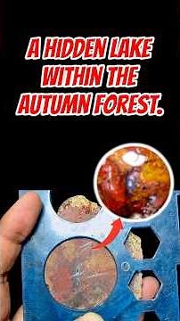 Moss Agate | Cabochon Making Process #cabochon #gemstone #agate #gemstonejewelry #crystals