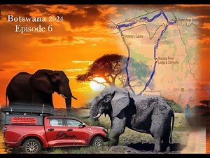 Exploring Third Bridge & Moremi Game Reserve | Botswana Safari Adventure