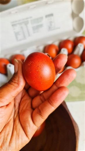 Pasture raised eggs #eggs #pastureraised #farmer #protein #nutrition #garden #chicken #mealprep