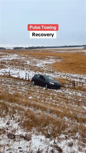 Edmonton Winter Rescue ❄️ Tow Truck Saves Stuck Vehicle | Pulse Towing