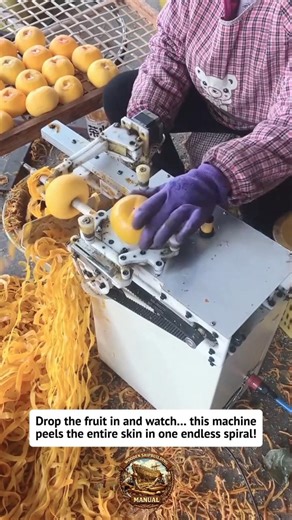 This Fruit Peeling Machine Is Insanely Fast! Watch It Peel Perfect Spirals! #foodtech #machine
