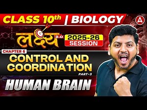 Control And Coordination | Class 10 Science Chapter 6 | Human Brain by Raghvendra sir