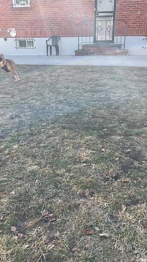 Nyla (@nyla.and.storm)’s videos with original sound - Nyla