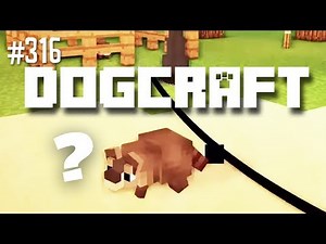 Raccooncraft | Dogcraft (Ep.316)