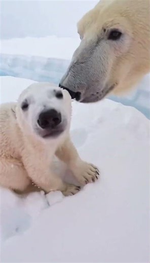 Window explodes open, pup surges out toward rescuer. Emotional save