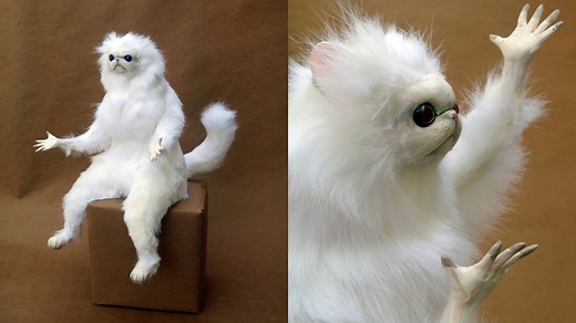 Persian Cat Room Guardian | Know Your Meme