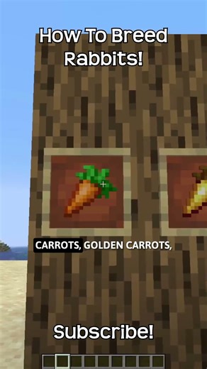 How To Breed Rabbits In Minecraft?!