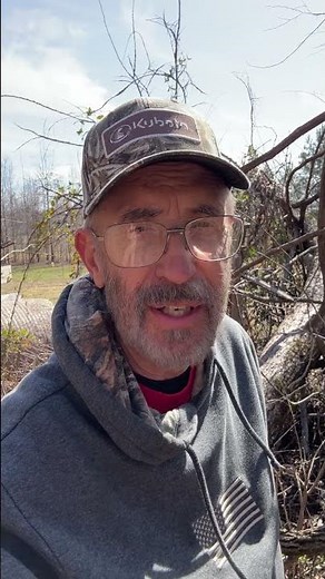 How to Get Free Firewood All Year Long! 🔥💰