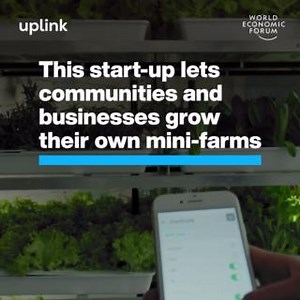62K views · 404 reactions | #Hydroponic farming uses less water than...
