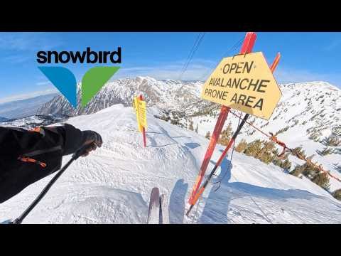 The BEST Run at Snowbird?