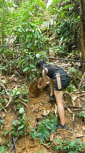 1.7M views · 11K reactions | Surviving Alone in Nature: Tips for...