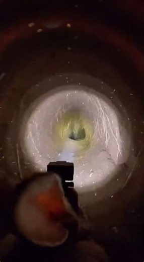 Underground animal burrows and tunnel systems